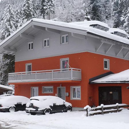 Alpen Appartements Viehhofen - Incl Sommercard Zell Am See 菲霍芬 外观 照片