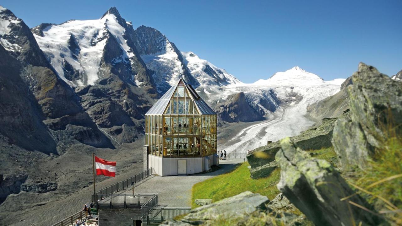 Alpen Appartements Viehhofen - Incl Sommercard Zell Am See 菲霍芬 外观 照片