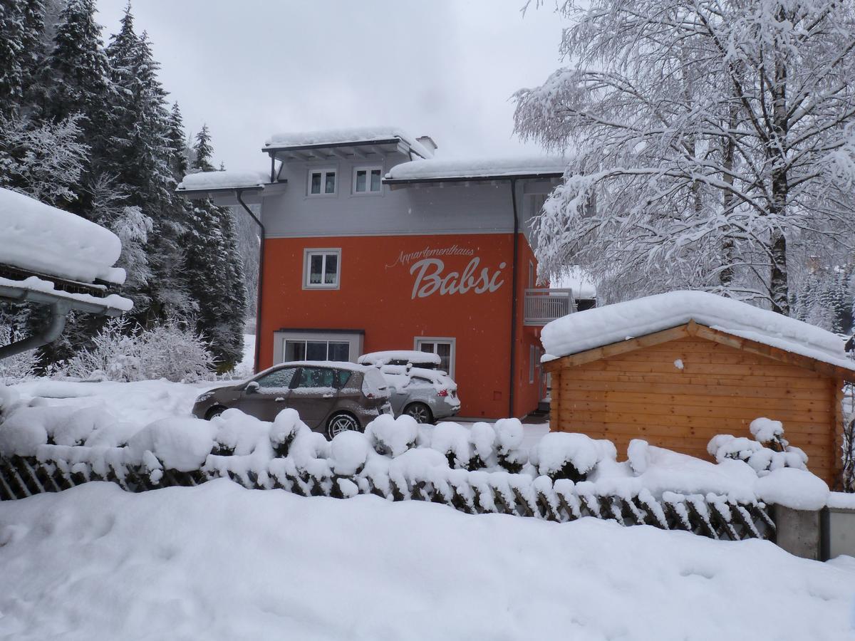 Alpen Appartements Viehhofen - Incl Sommercard Zell Am See 菲霍芬 外观 照片