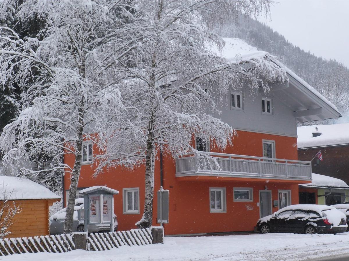 Alpen Appartements Viehhofen - Incl Sommercard Zell Am See 菲霍芬 外观 照片