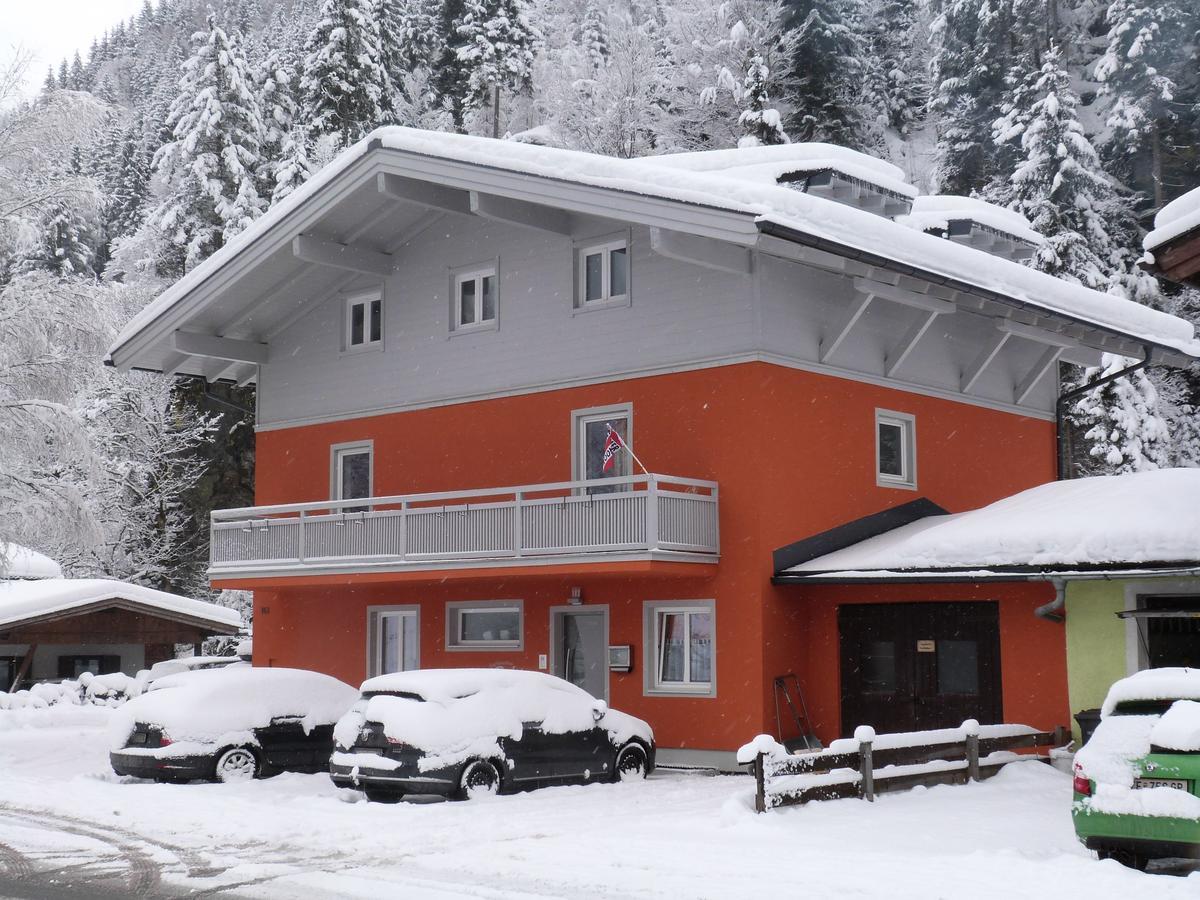 Alpen Appartements Viehhofen - Incl Sommercard Zell Am See 菲霍芬 外观 照片