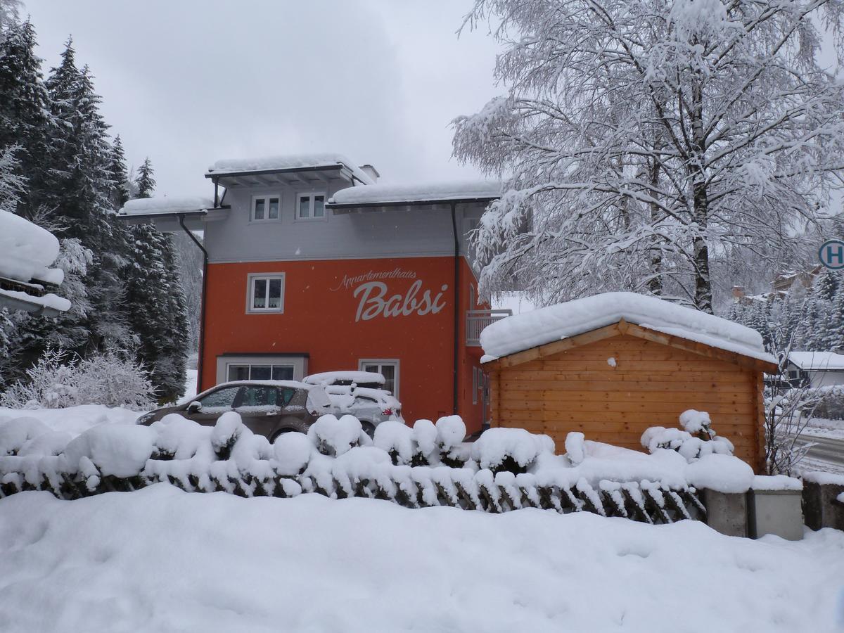 Alpen Appartements Viehhofen - Incl Sommercard Zell Am See 菲霍芬 外观 照片
