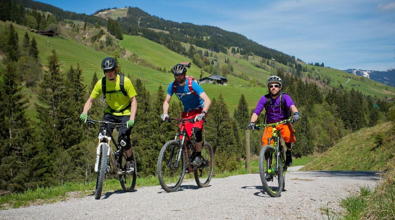 Alpen Appartements Viehhofen - Incl Sommercard Zell Am See 菲霍芬 外观 照片